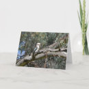 Search for kookaburra cards Nature
