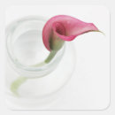 Search for calla lilly stickers Lily