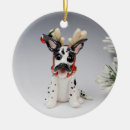 Search for harlequin great dane decor Fawn