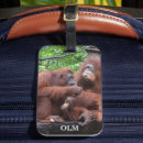 Search for orangutan accessories Animals