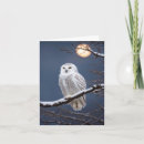 Search for owl note cards Snow