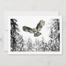 Search for bird flight cards Owl