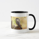 Search for chickadee mugs Forest