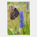 Search for blue butterfly gifts Wildlife