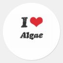 Search for algae stickers Kelp