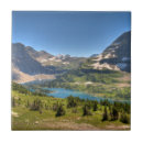 Search for going tiles Nature