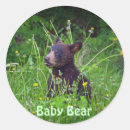 Search for bear photo stickers Bears