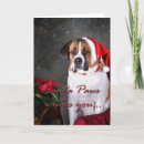 Search for st bernard christmas cards Canine