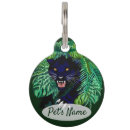 Search for panthers Feline