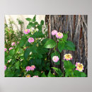 Search for springtime posters Flowers