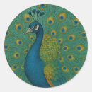 Search for peacock stickers Feathers