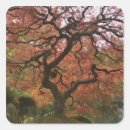 Search for acer stickers Colour