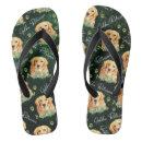 Search for dog paw print shoes Pets