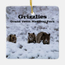 Search for grizzly bear christmas tree decorations Animals
