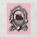 Search for pink cats postcards Kitten
