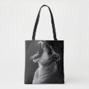 Search for lioness bags Wild