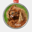 Search for cocker spaniel dog christmas tree decorations Pet