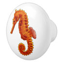 Search for seahorse knobs and pulls Colourful