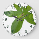 Search for frog clocks Green