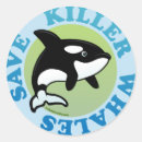 Search for killer whale stickers Cute