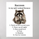 Search for funny raccoon posters Raccoons