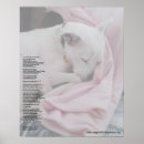 Search for edited posters Animals