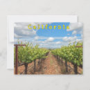 Search for grapevine Vineyard