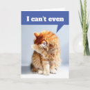 Search for even cards Funny