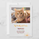 Search for cat images invitations New address