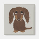 Search for dachshund magnets Dog