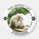 Search for pawprint magnets Dog
