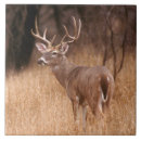 Search for deer antlers tiles Buck