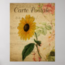 Search for vintage botanical sunflower posters Floral