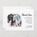 Search for white stallion cards Equestrian