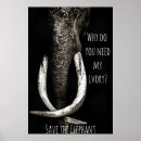 Search for save the elephant posters Nature