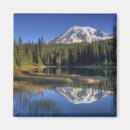 Search for wa magnets Judy wild