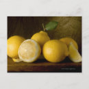 Search for fruit still life postcards Yellow