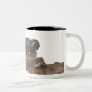 Search for frog picture mugs Horizontal