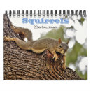 Search for squirrel calendars Animal