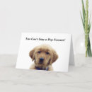 Search for with puppy graduation cards Golden retriever