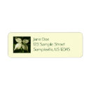 Search for dogwood return address labels Flower
