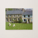 Search for wales puzzles Village