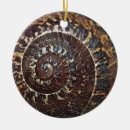 Search for snail christmas tree decorations Shell