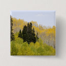 Search for forest path badges Usa