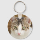Search for green cat key rings Eyes