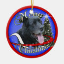 Search for mixed breed christmas tree decorations Lab