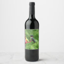 Search for hummingbird wine labels Nature