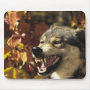 Search for aggressive mousepads Wildlife