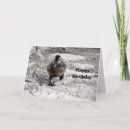 Search for mallards cards Waterfowl