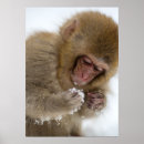 Search for macaque posters Outdoors